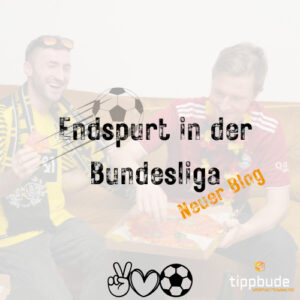 Read more about the article Final spurt in the German soccer Bundesliga – Part 1
